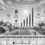 Ngành phân bón bước vào giai đoạn ổn định